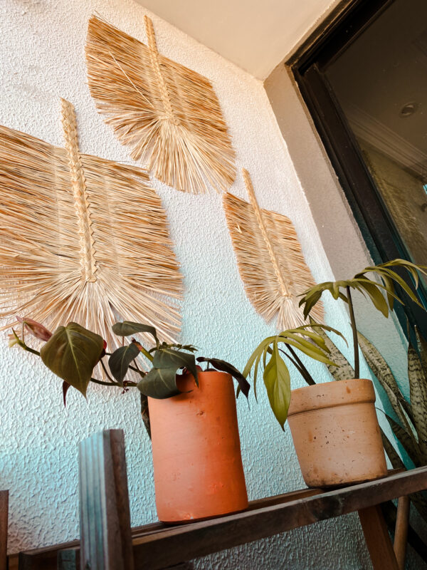 Trio Carnaúba - Image 4