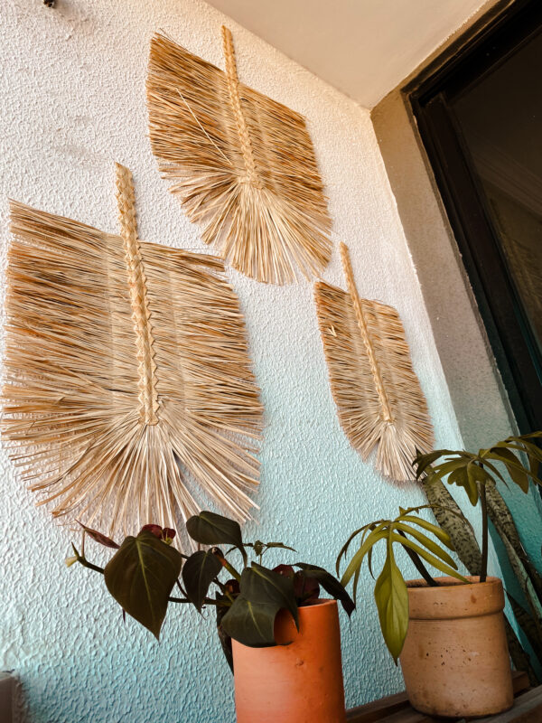 Trio Carnaúba - Image 3