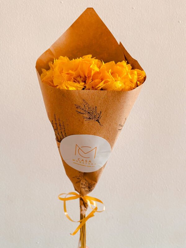 Bougainville amarelo - Image 2